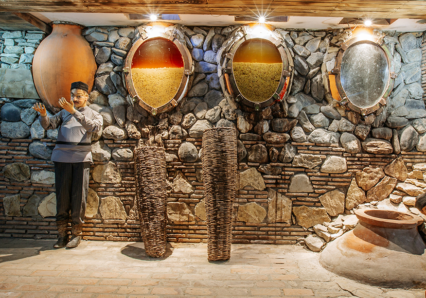 Twins Wines House in Napareuli