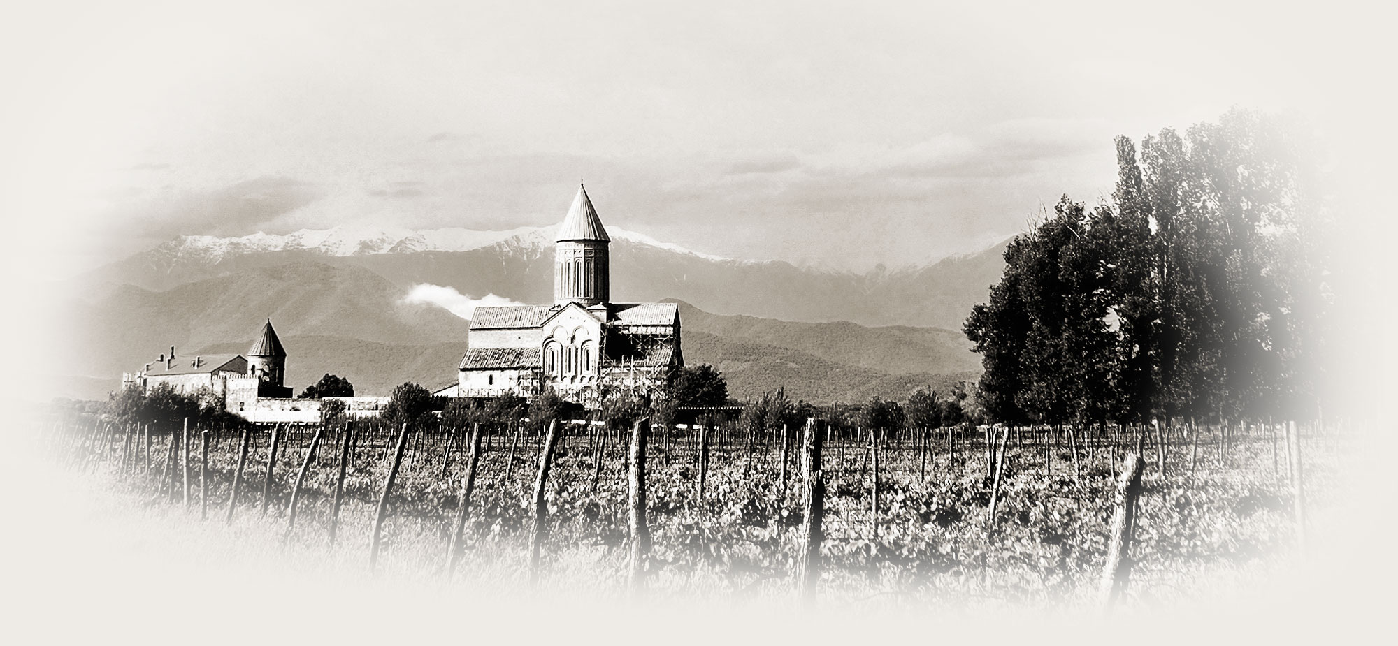 Danieli Winery