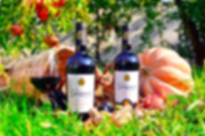 Levan Japaridze Wines