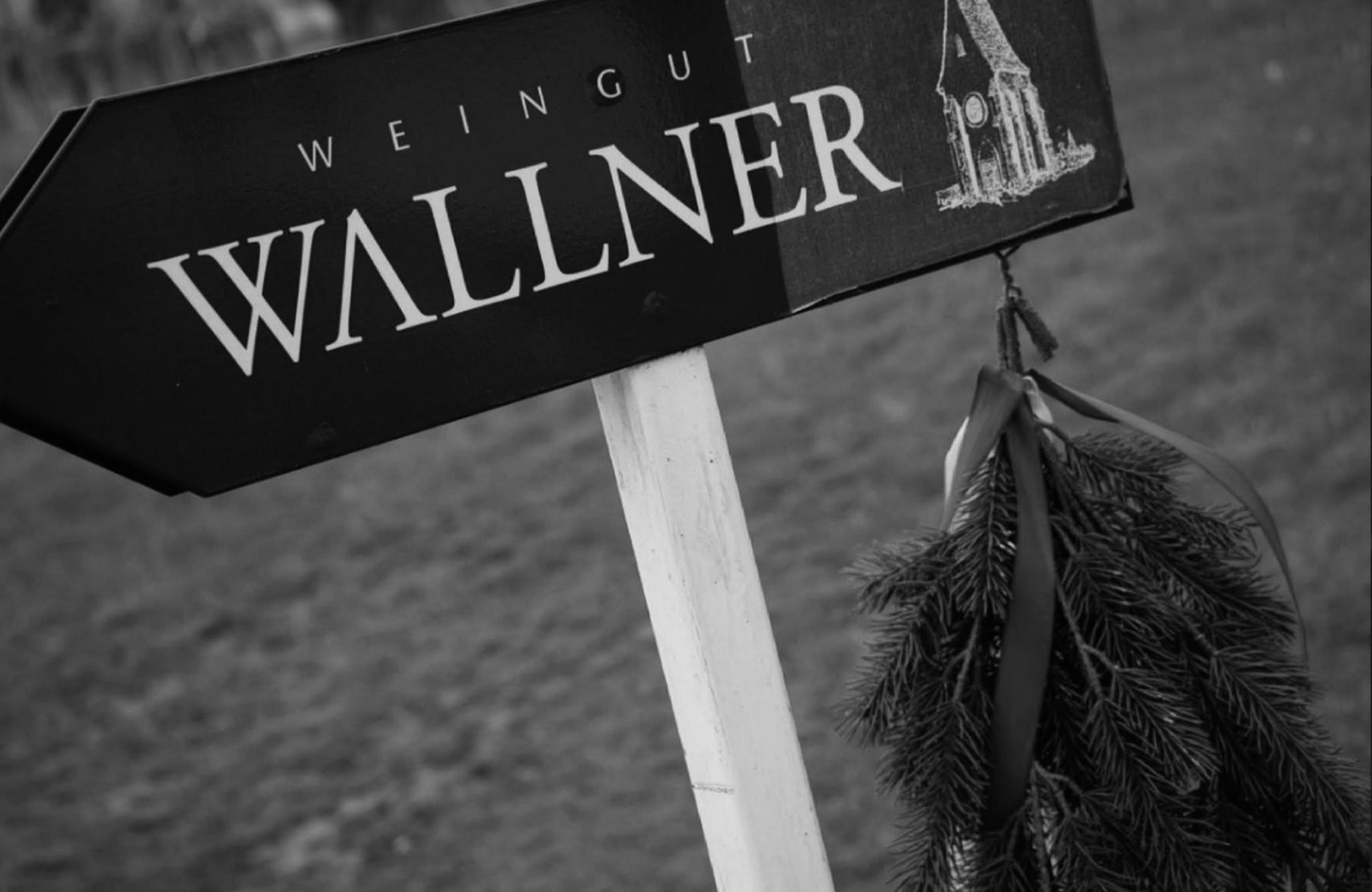 Wallner