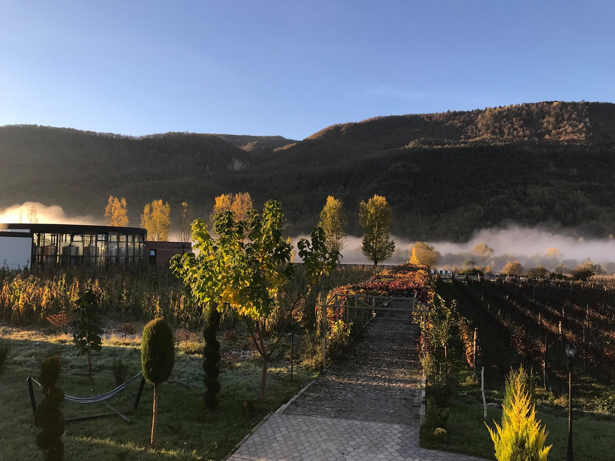 Naberauli Wines