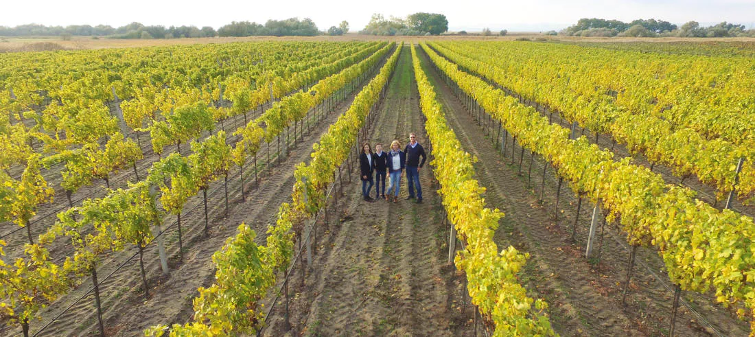 Kirchseeweingut Gangl