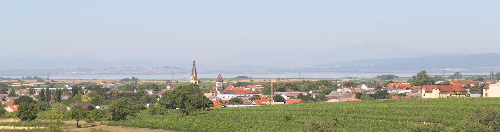 Weinbau Markus Lunzer