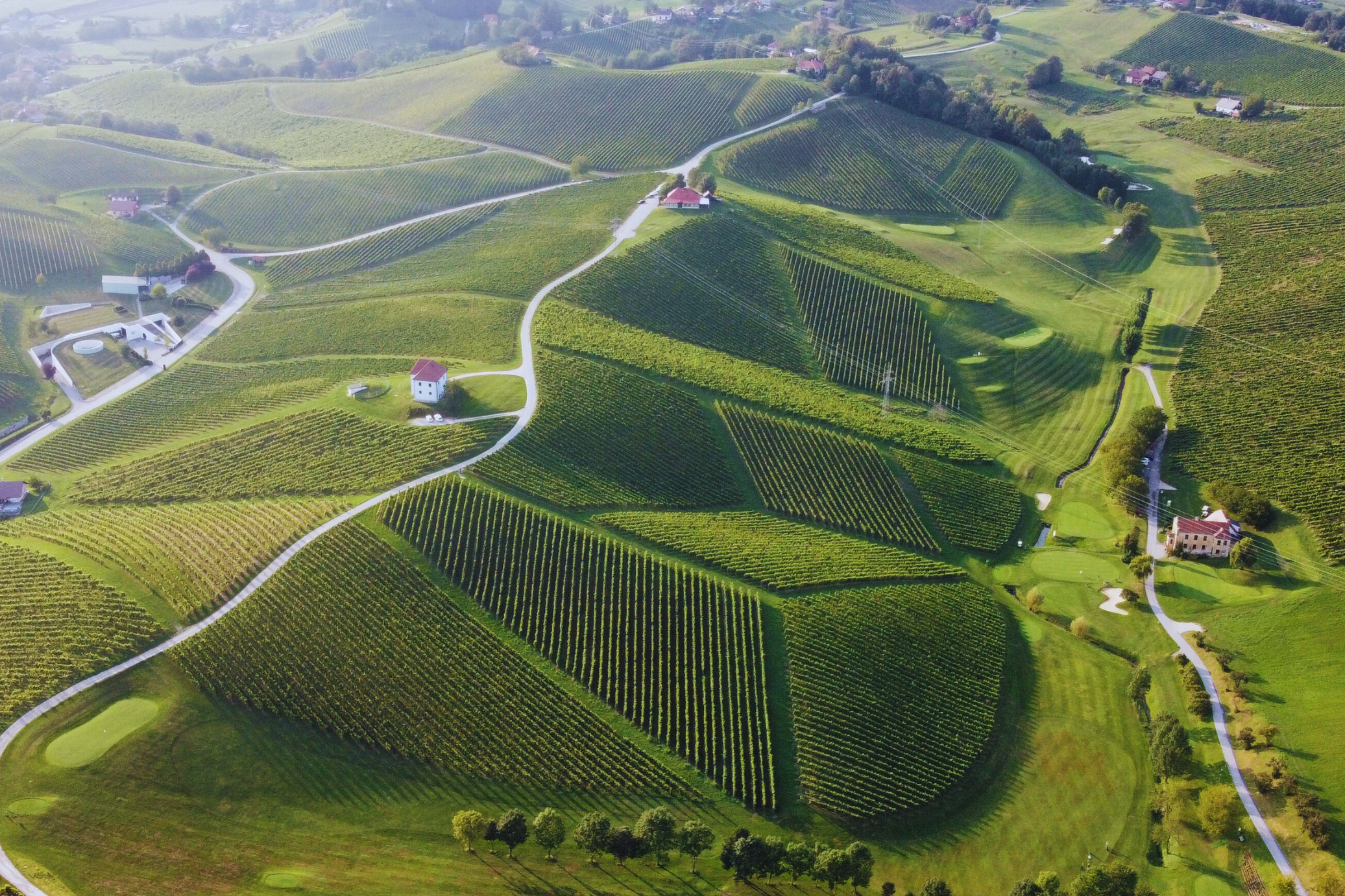 Zlati Grič