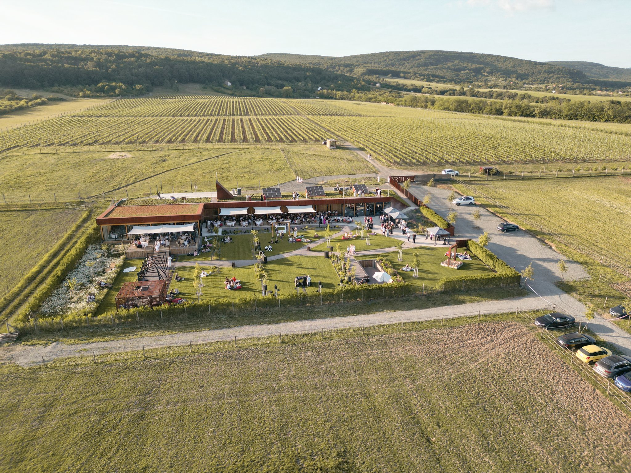 Frtus winery