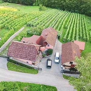 Vinska klet pri Andreju - Očarjevi