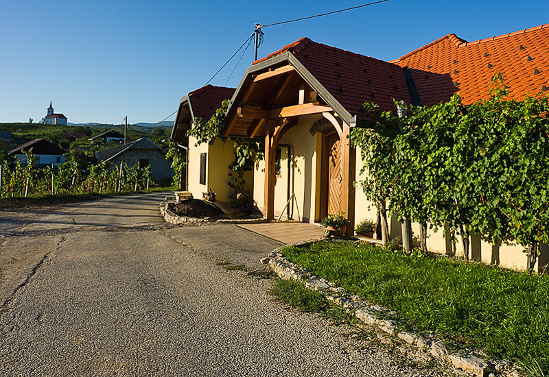 Vinoteka