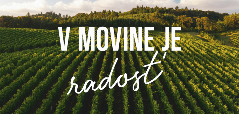 Agro - Movino