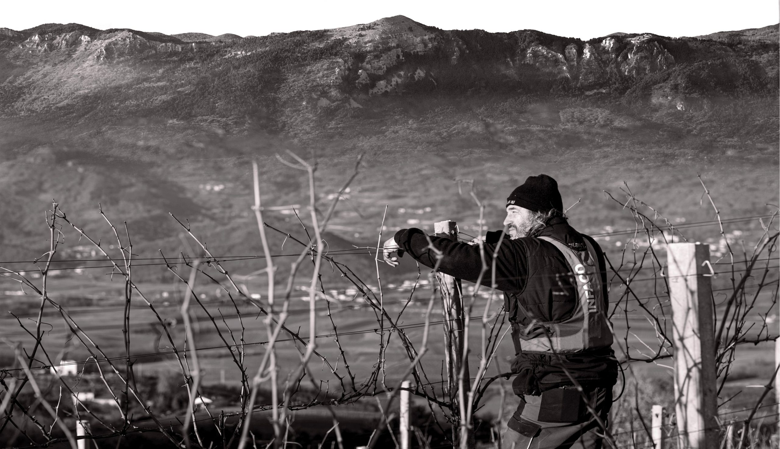 Vina Kavčič