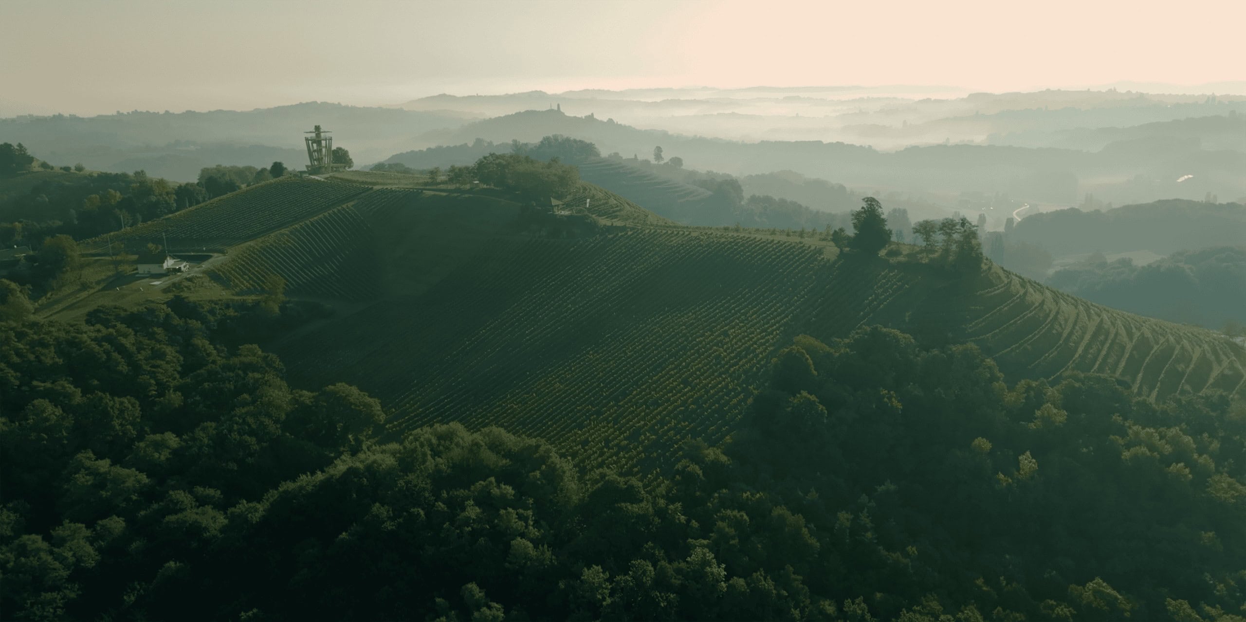 Vinogradarstvo- podrumarstvo Cmrečnjak