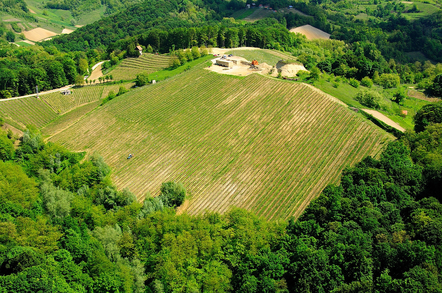 Petrovečki