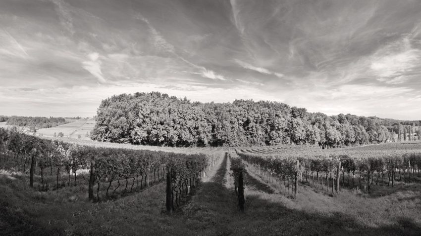 Vinarija Štampar d.o.o.