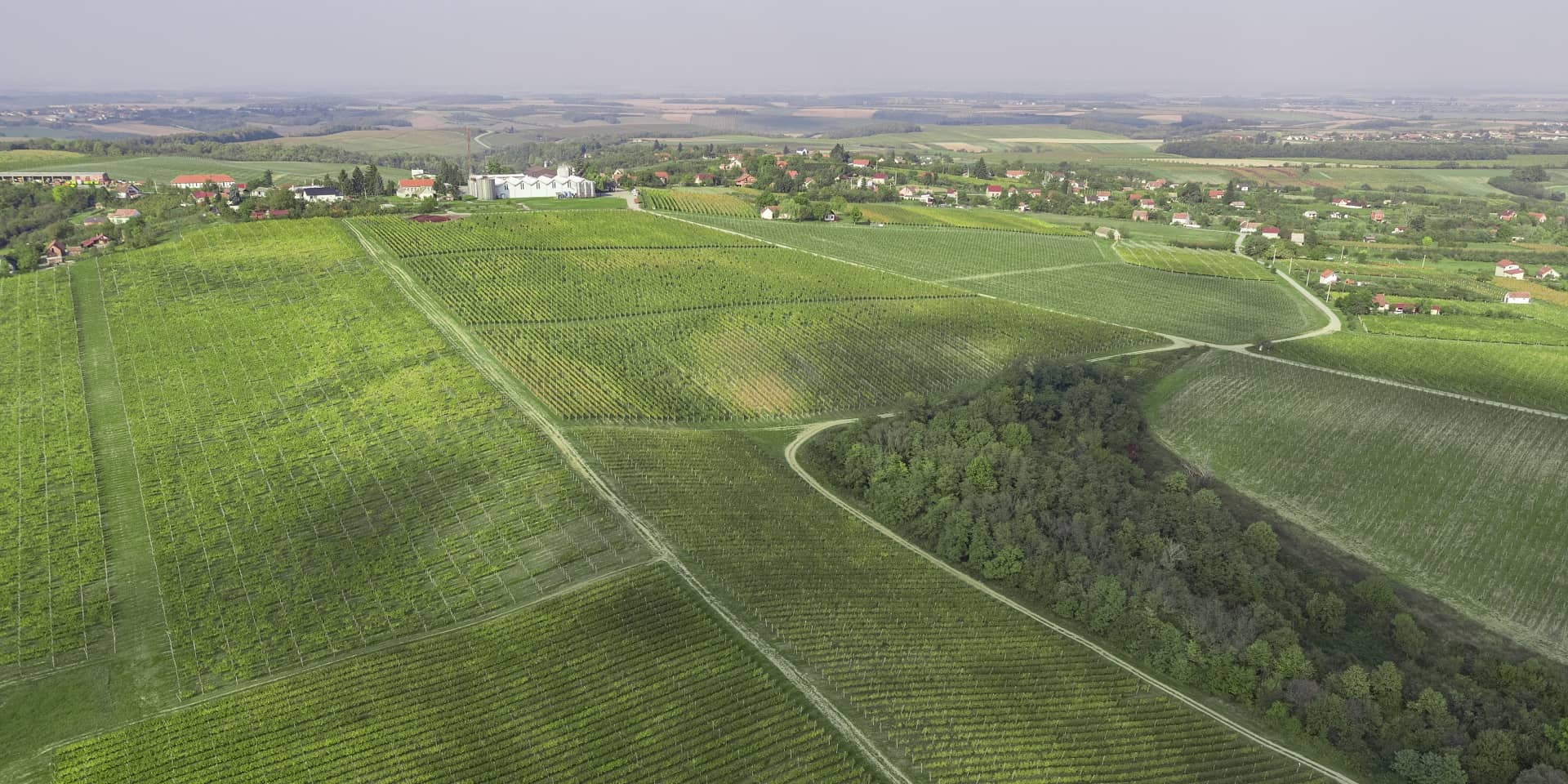Đakovačka vina d.d.