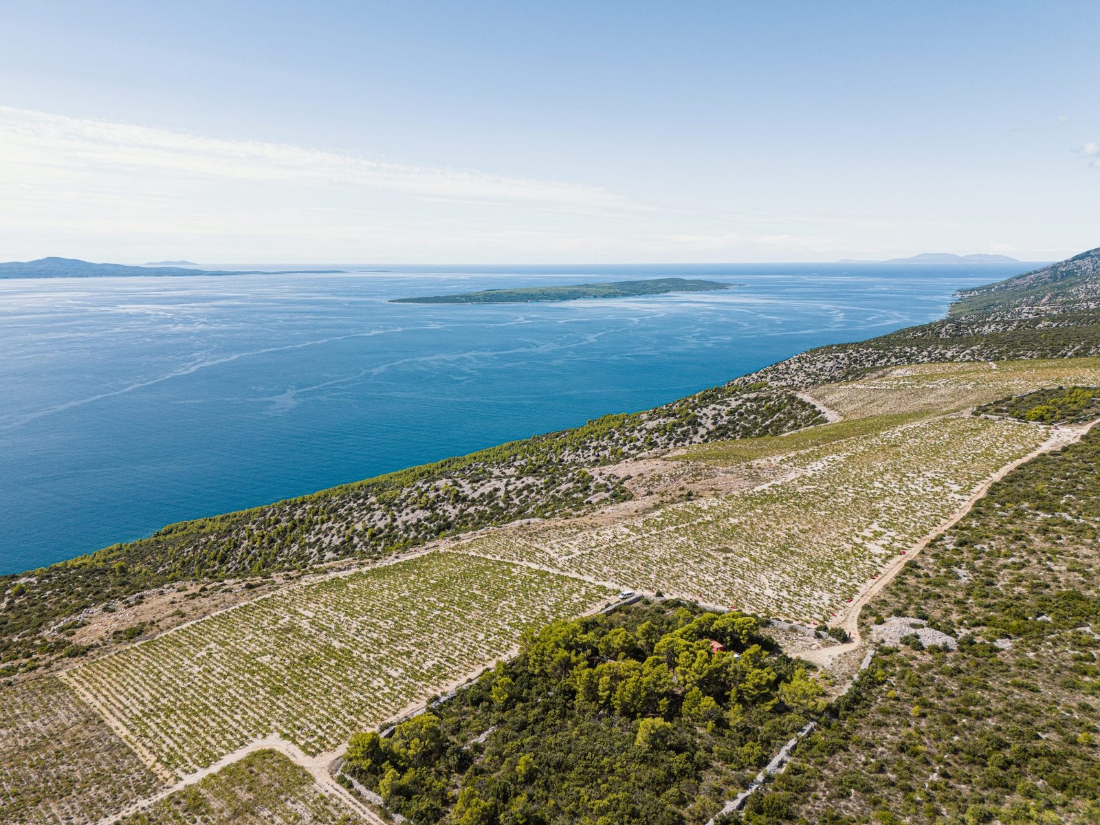 HVAR HILLS d.o.o., Vrbanj