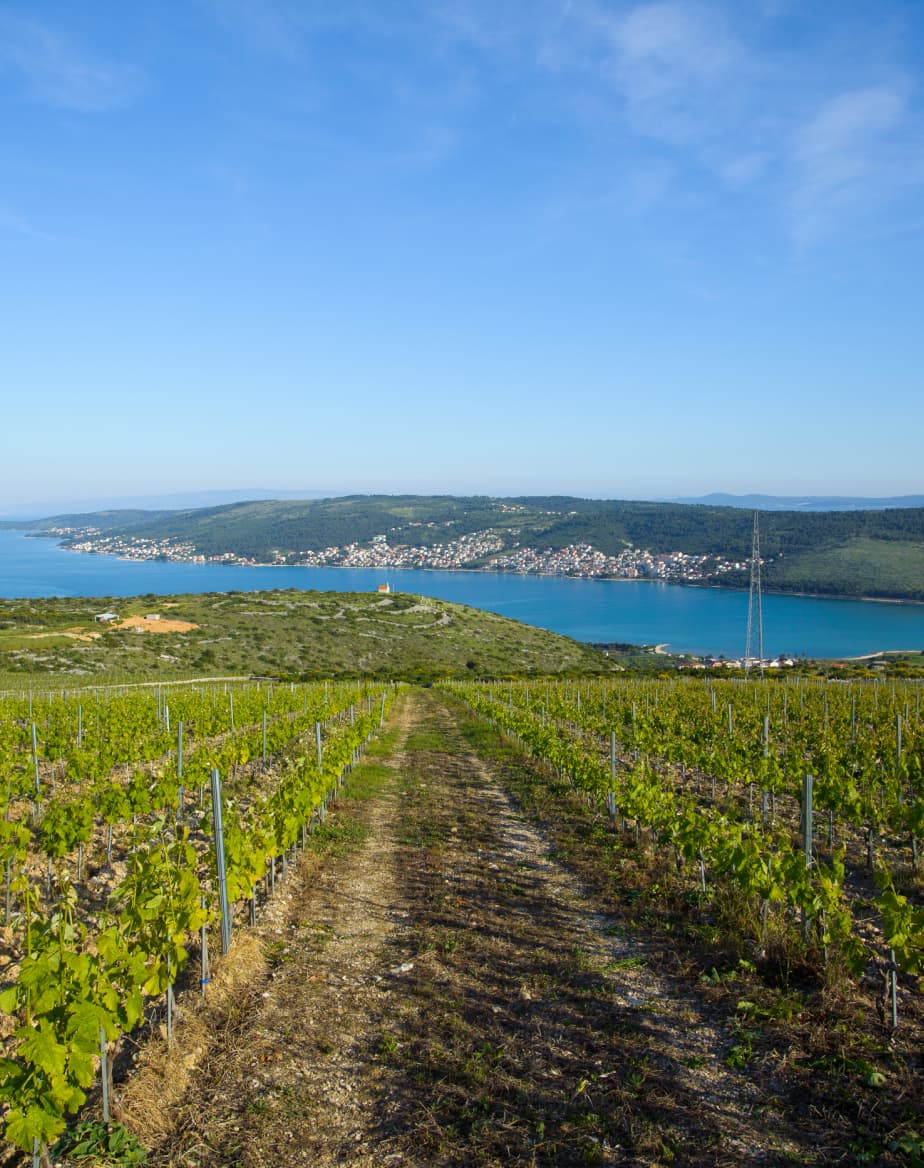 VINSKI DVORI d.o.o., Trogir