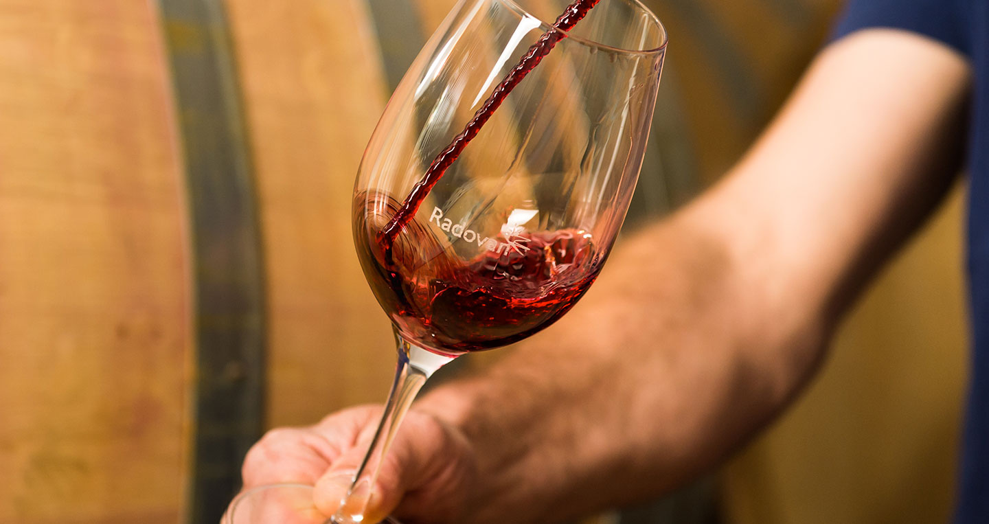 Radovan Vina