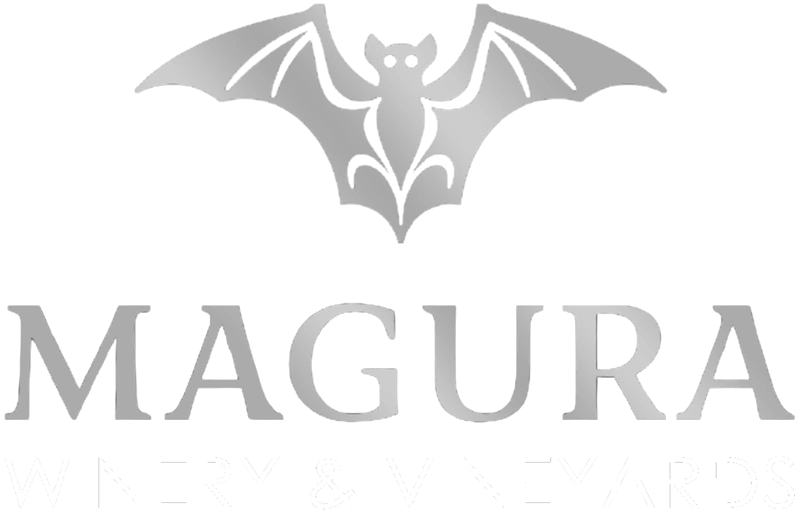 Vinarska izba Magura