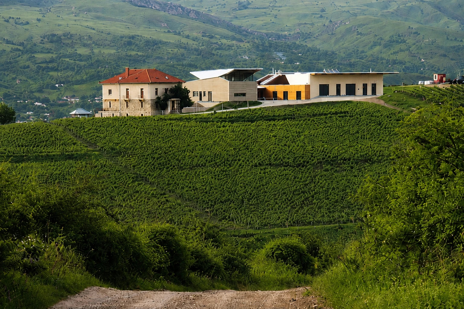 Crama Lacerta