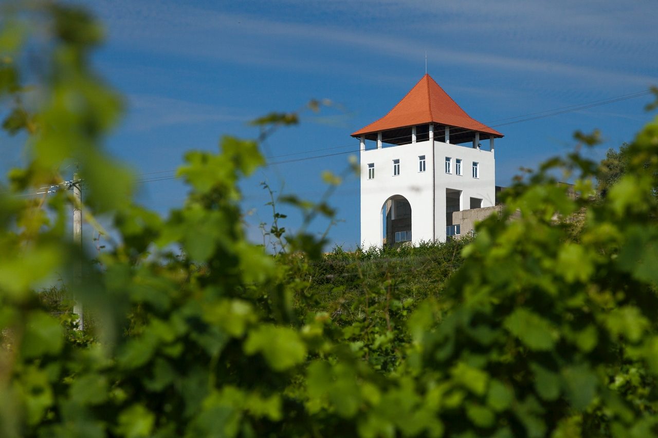 Crama Villa Vinea