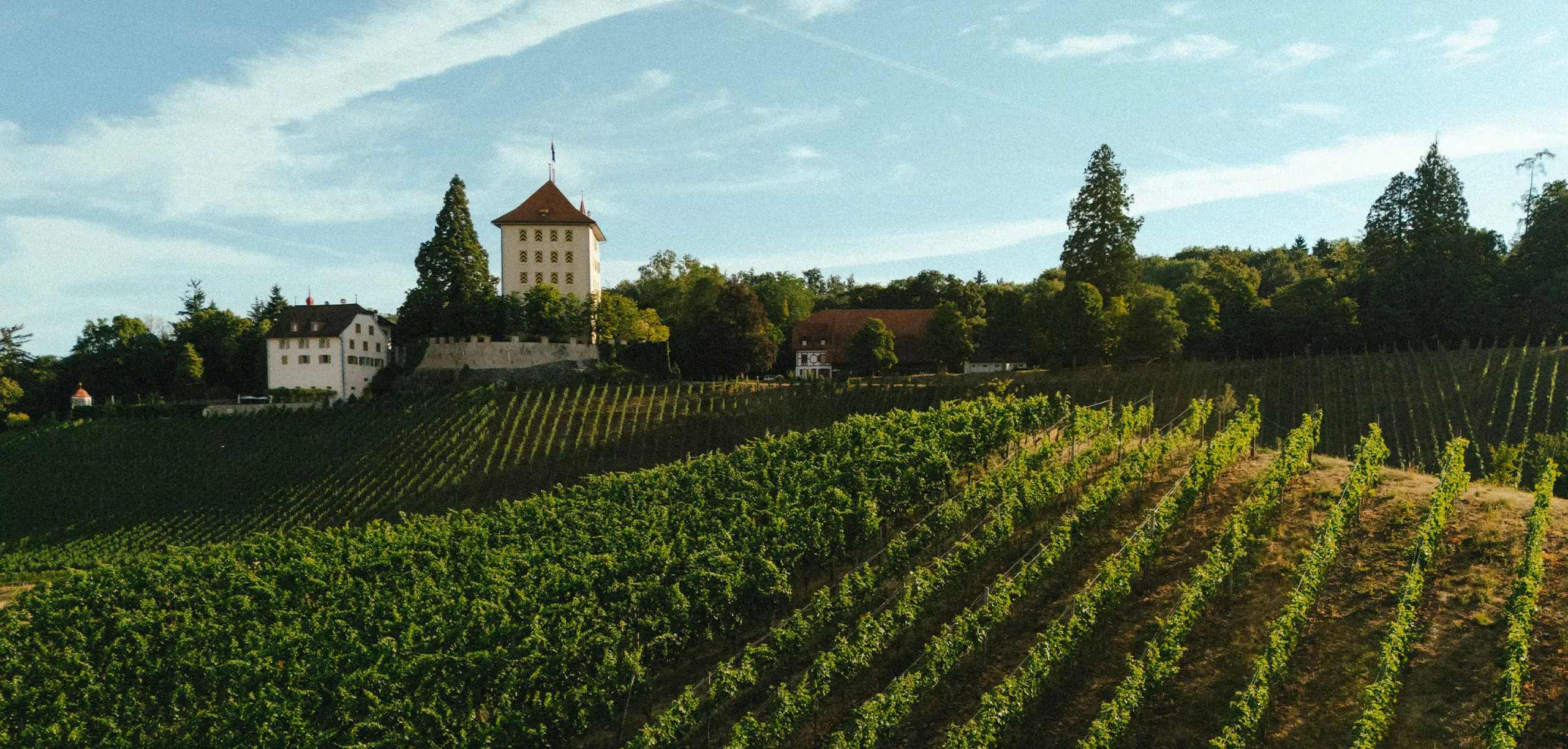 Weingut Heidegg
