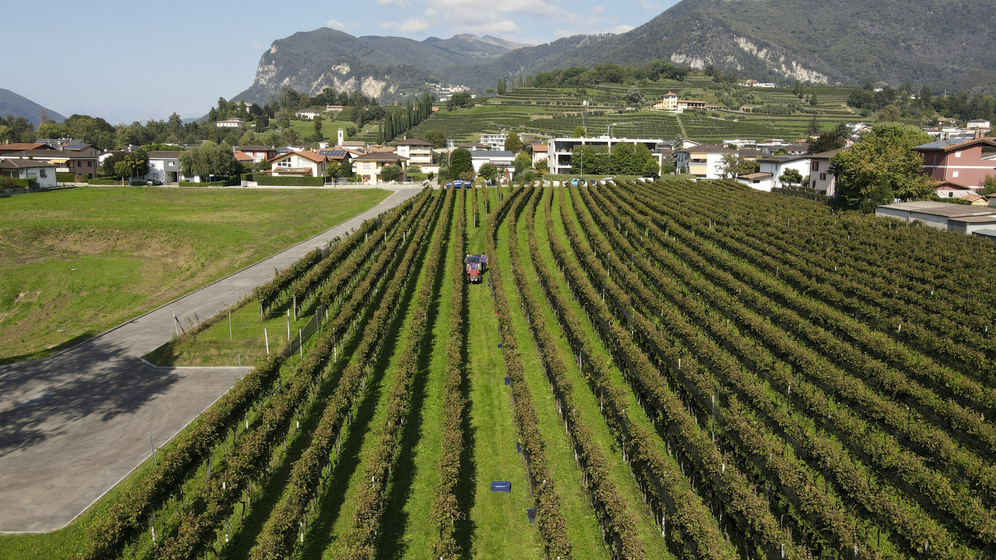 Tenuta Vitivinicola Trapletti SA