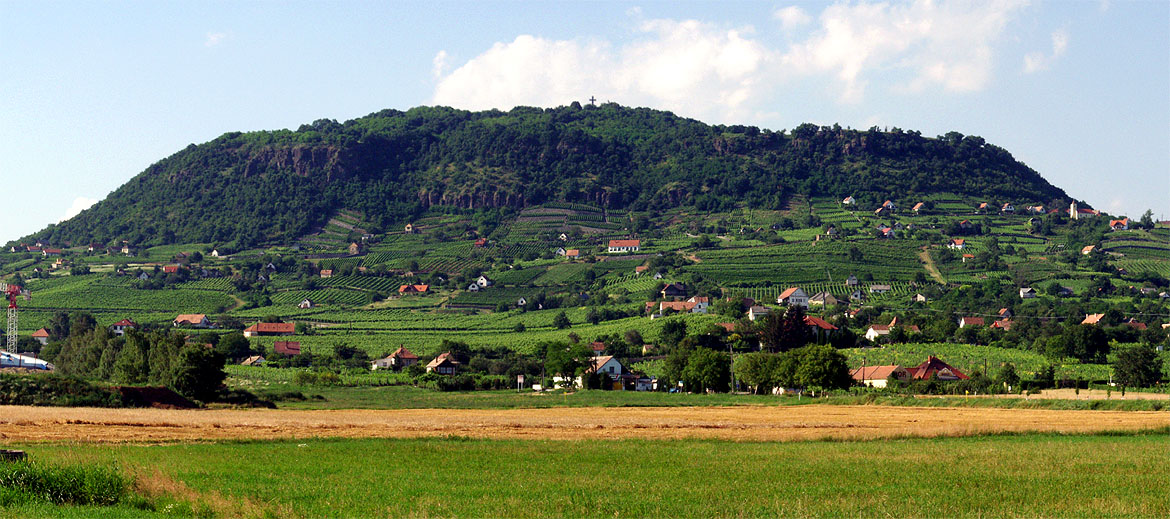 Spiegelberg kézműves borászat