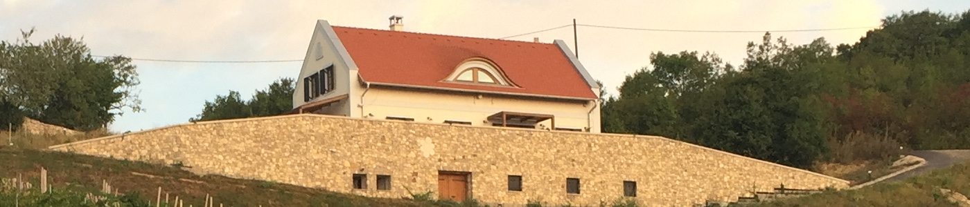 Borbora Borház