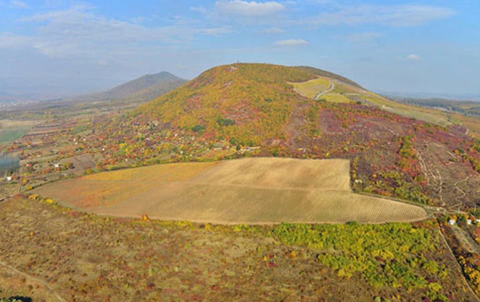 Thummerer Pincészet