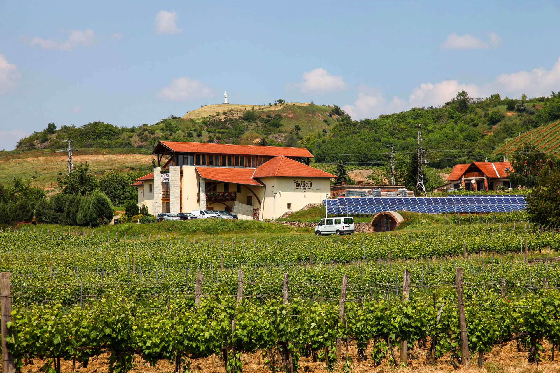 Tokajicum Borház