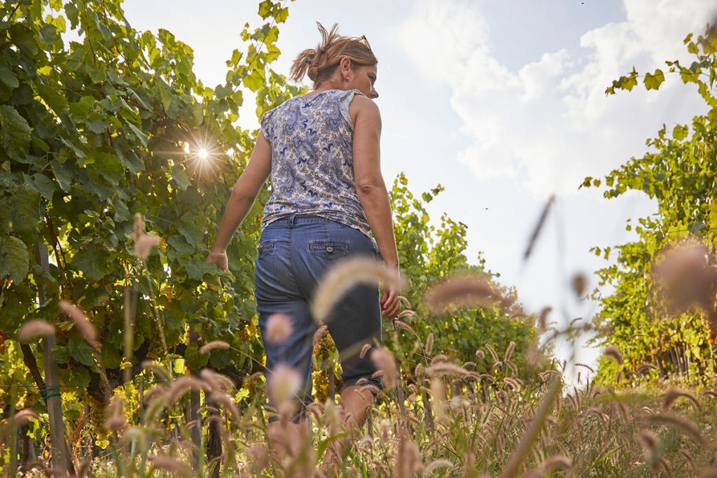 Tokaj Nobilis Szőlőbirtok