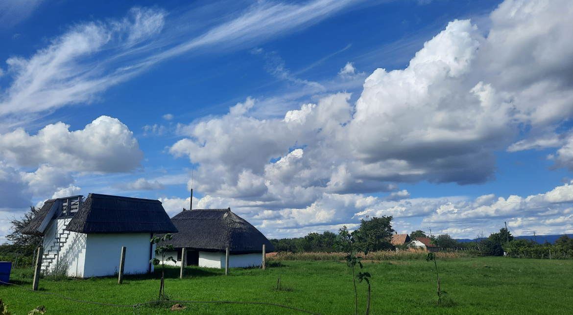 Bleicher Borászat