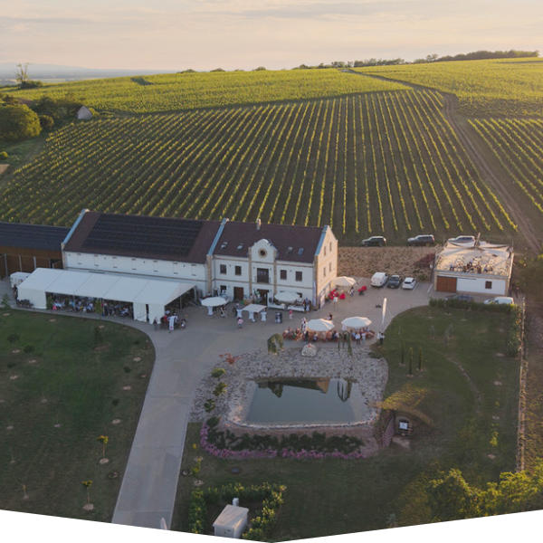 Koch Borászat – Vin Art Pincészet