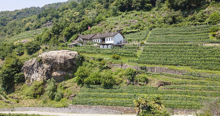 Azienda Mondo