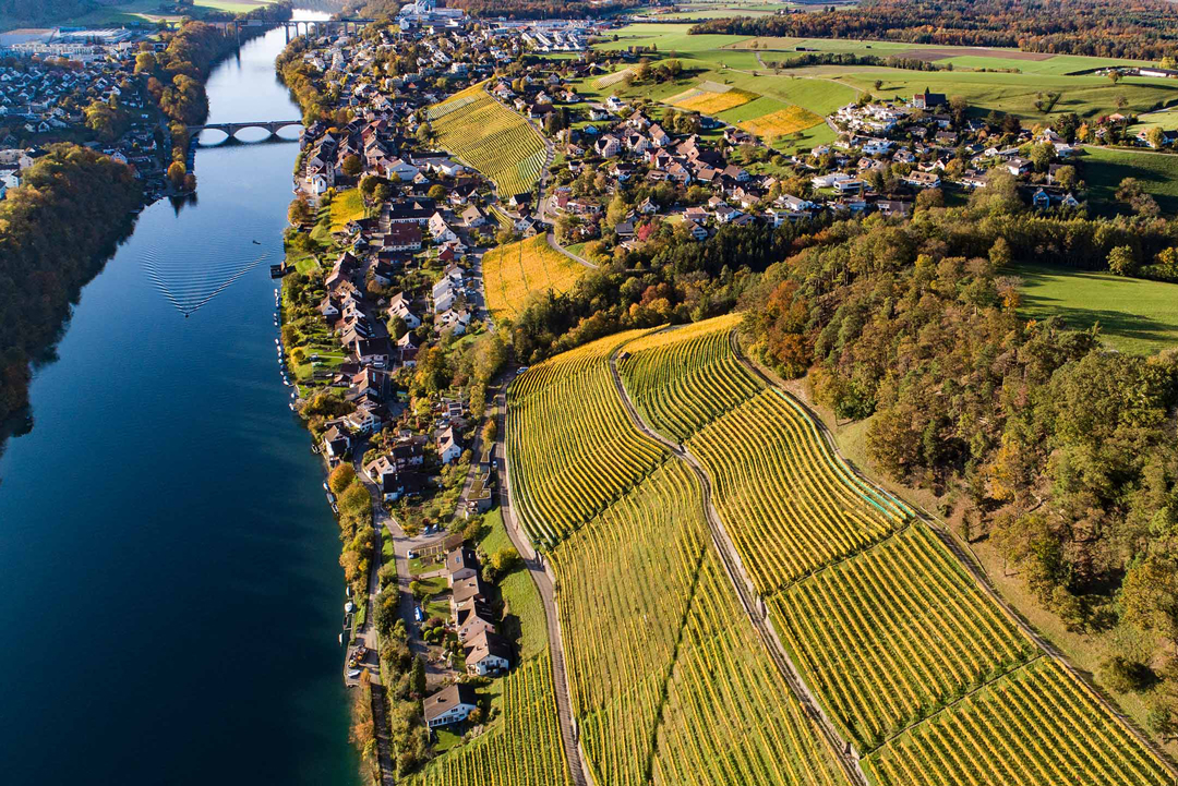 Bechtel-Weine