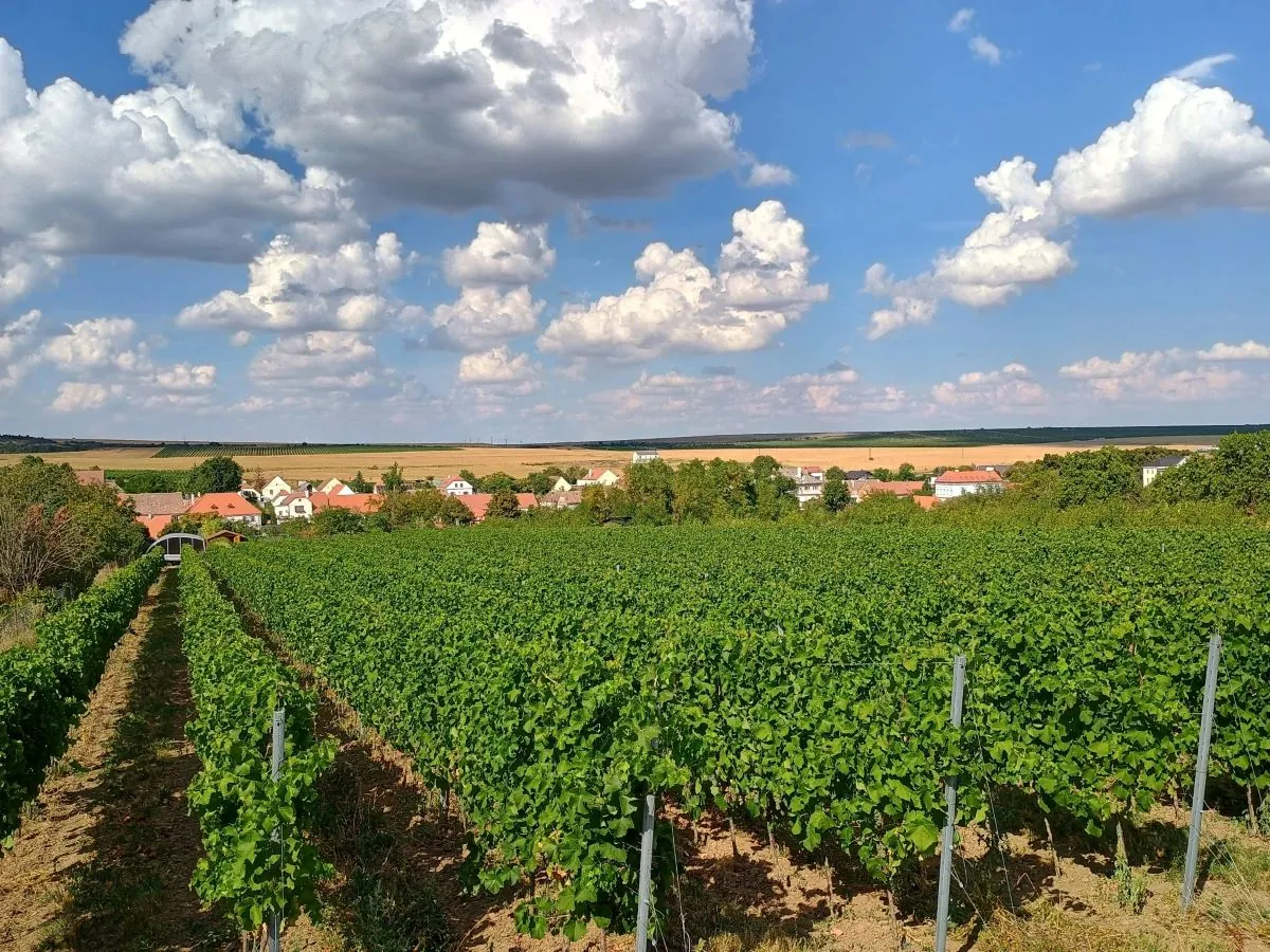 Vinařství Jiří Popp