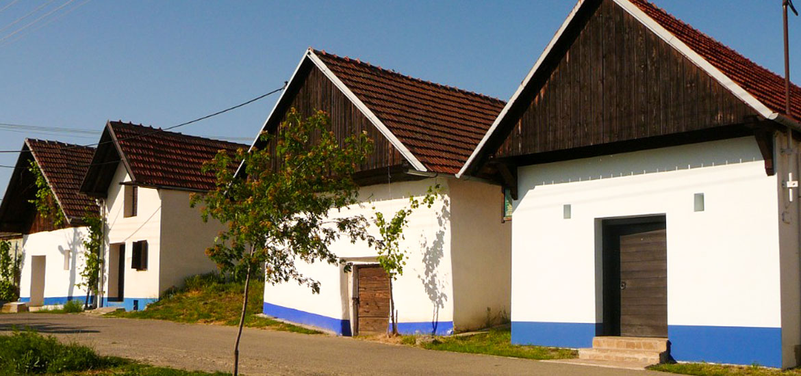 Dušan Soviš