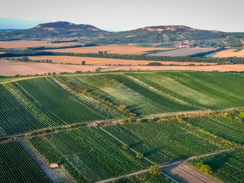 Víno Kadrnka