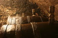 Vinařství Milan Kosík