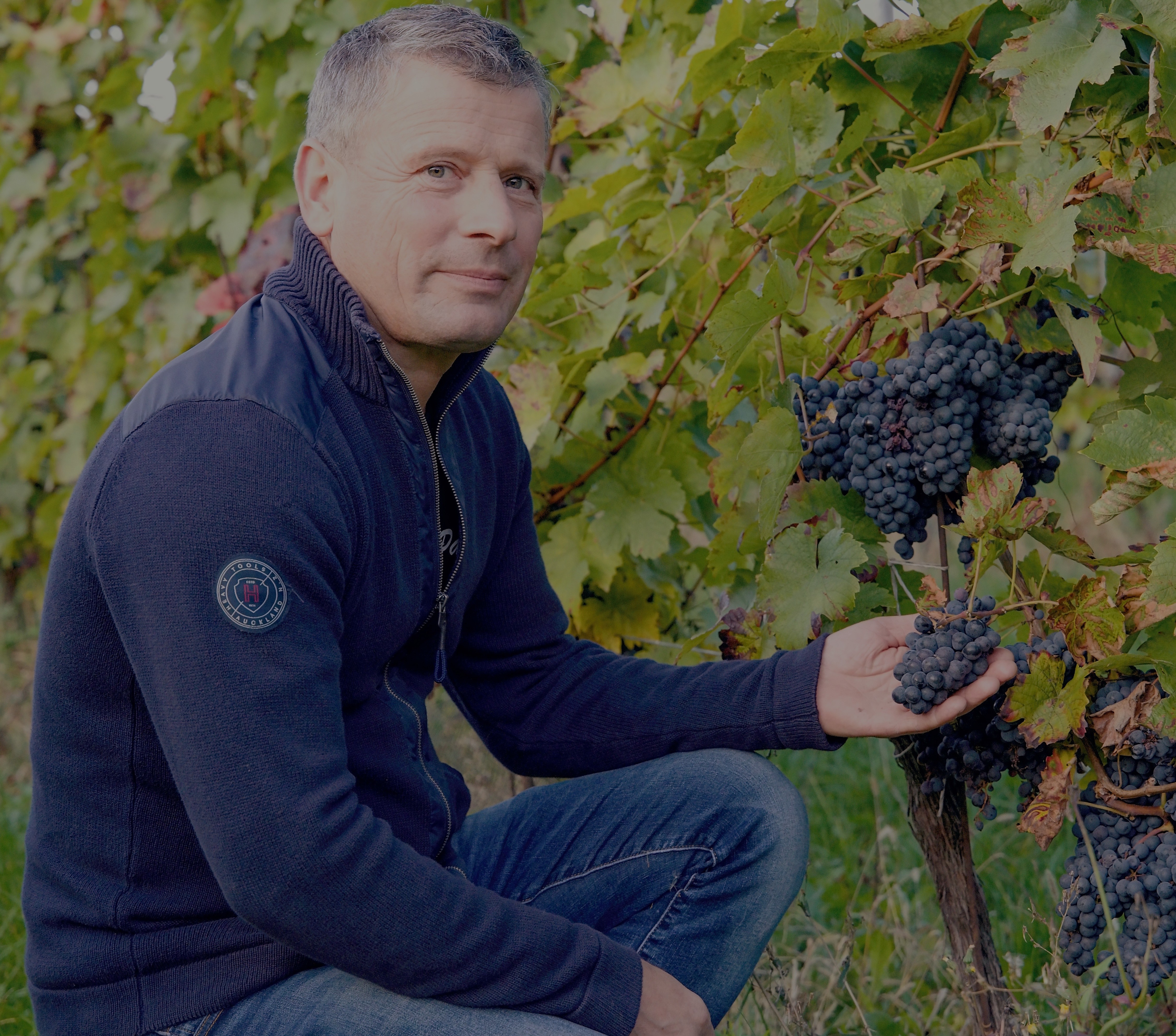 Vinařství Pavel Mikulica