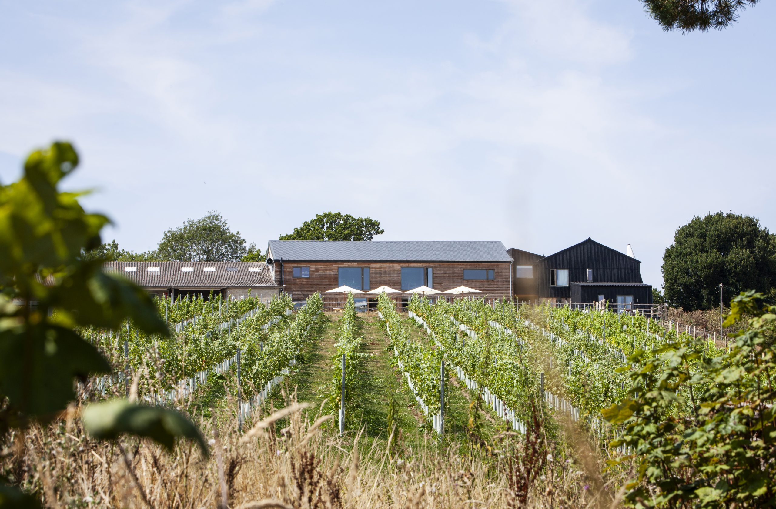 Tillingham Winery