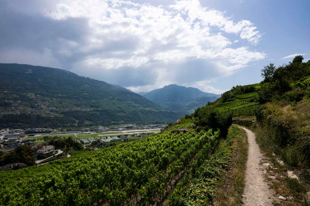 Cave des Bouquetins
