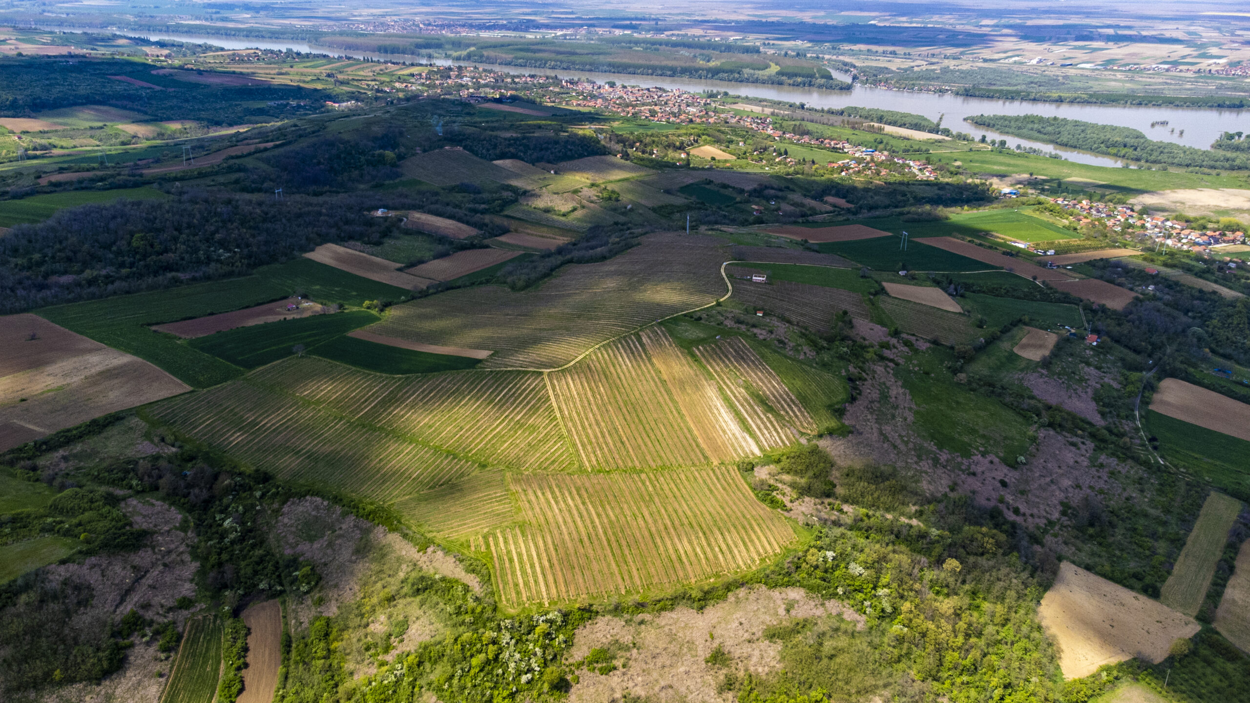 Vinarija Belo Brdo