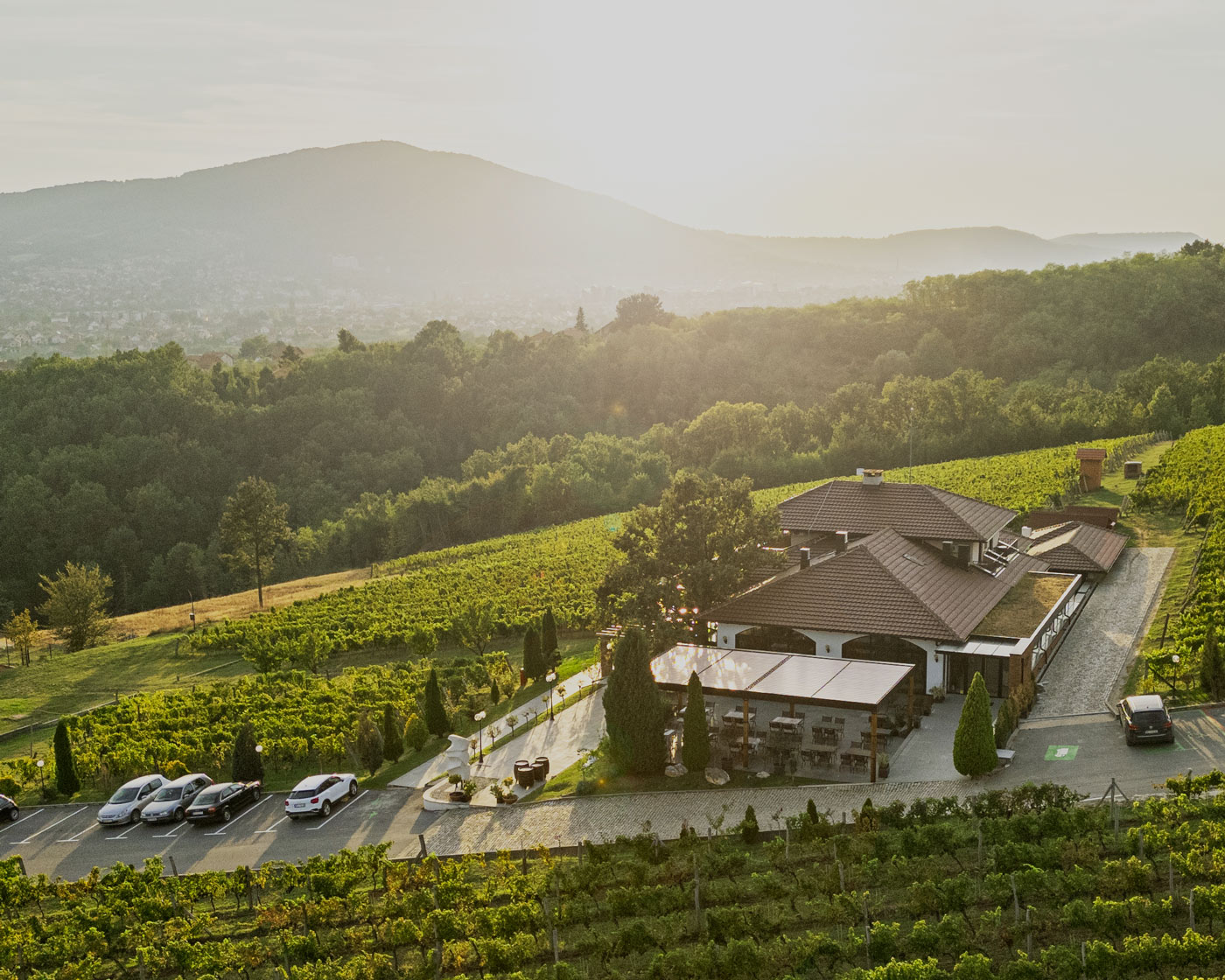 Vinarija Tarpoš