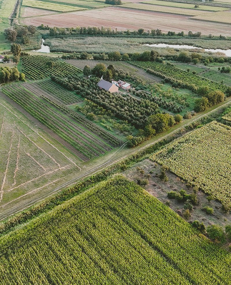 Vinarija Gnezdo