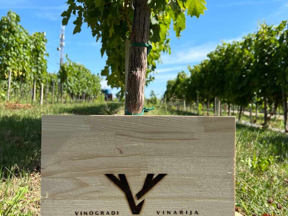 Vinarija Vinčić