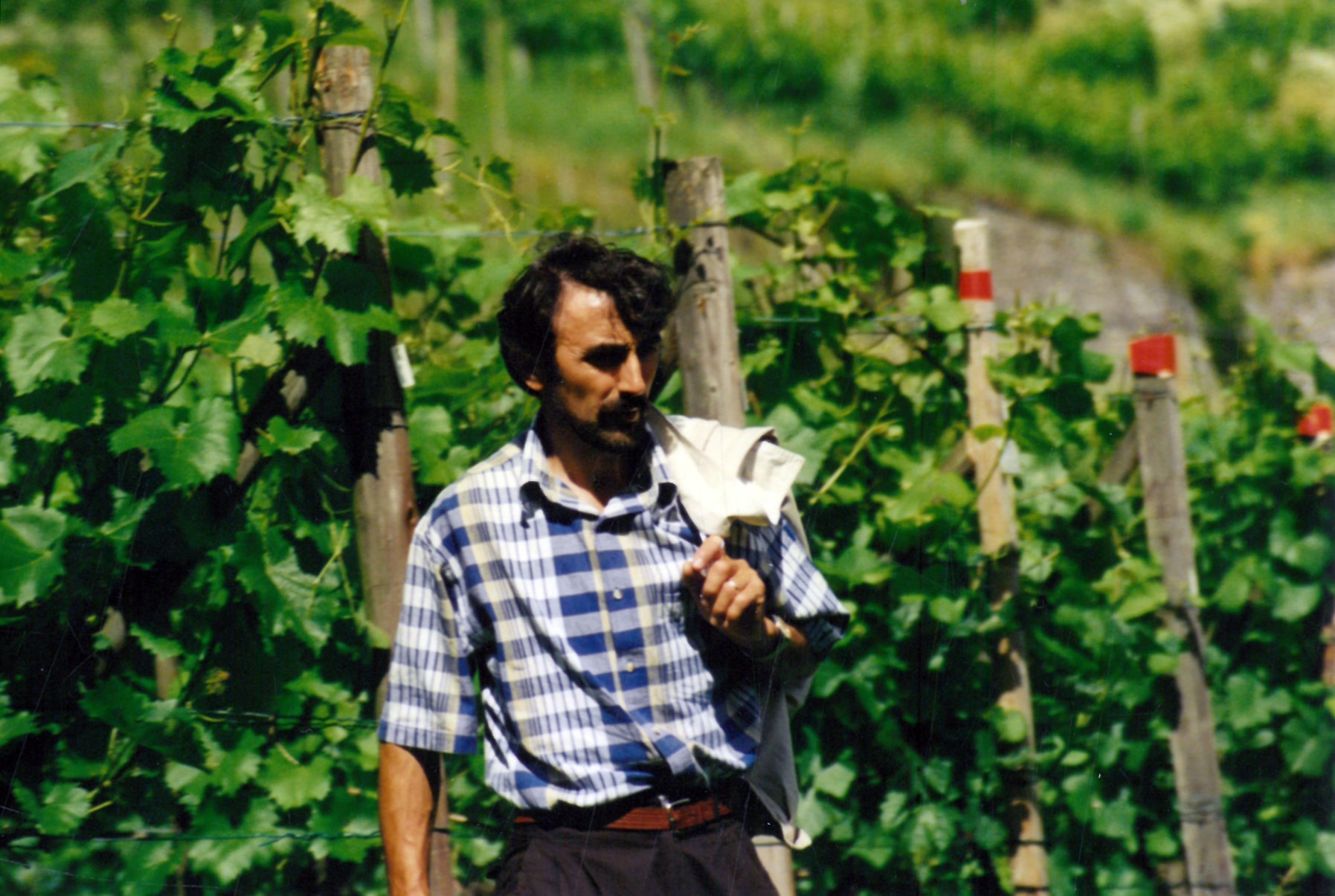 Vinarija Milosavljević