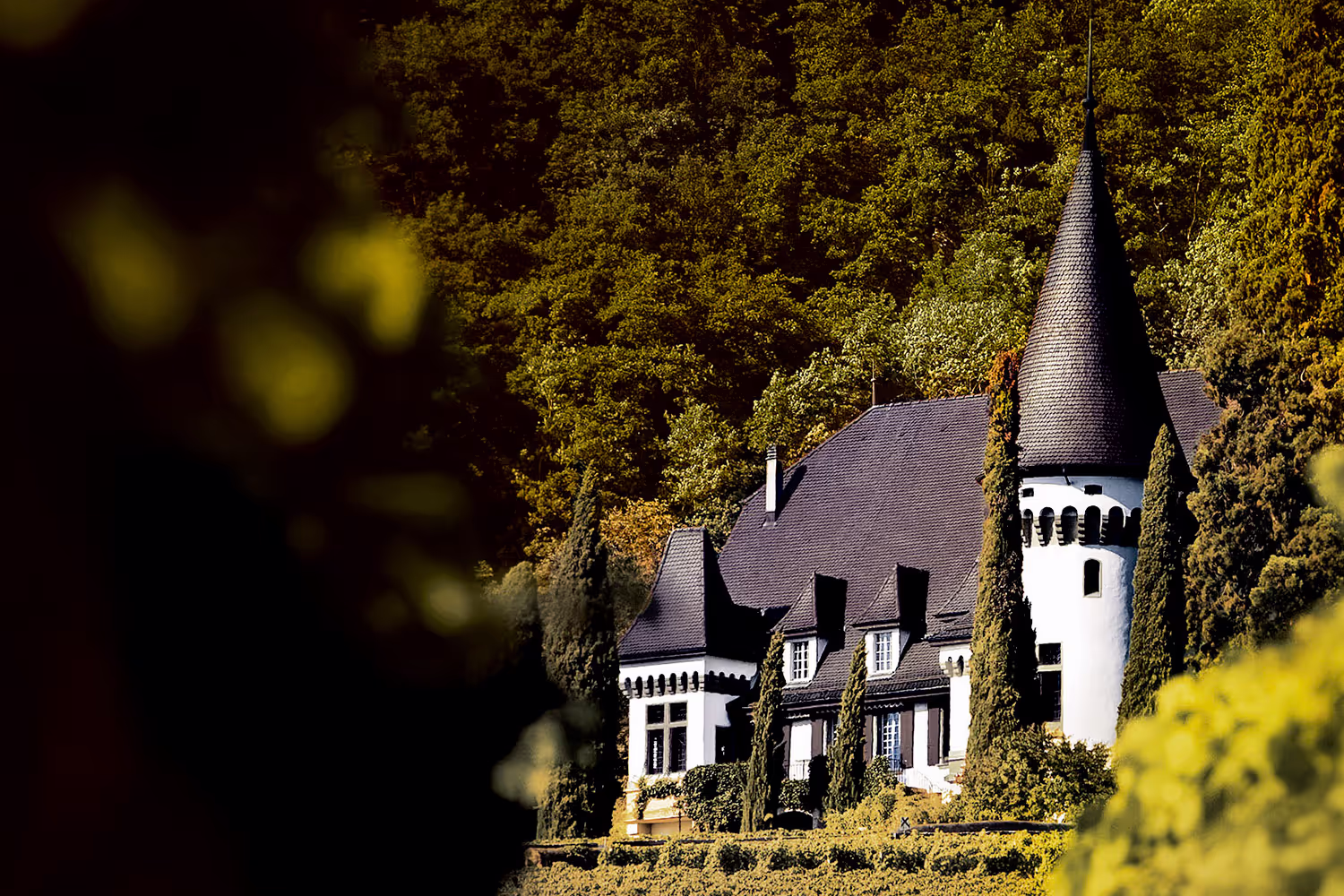 Château Maison Blanche