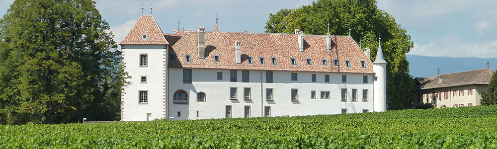 Château d'Allaman