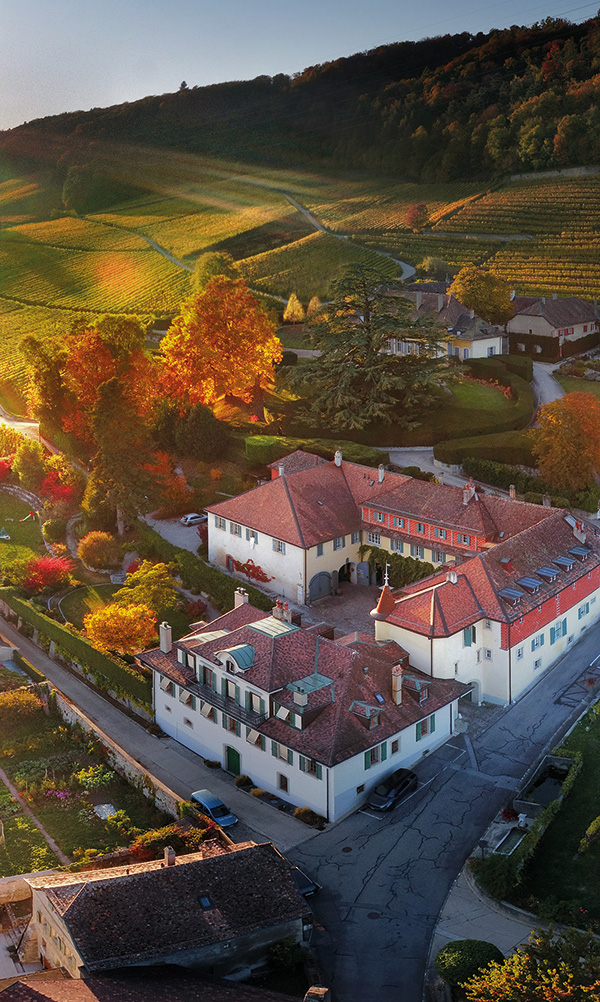 Château de Vinzel