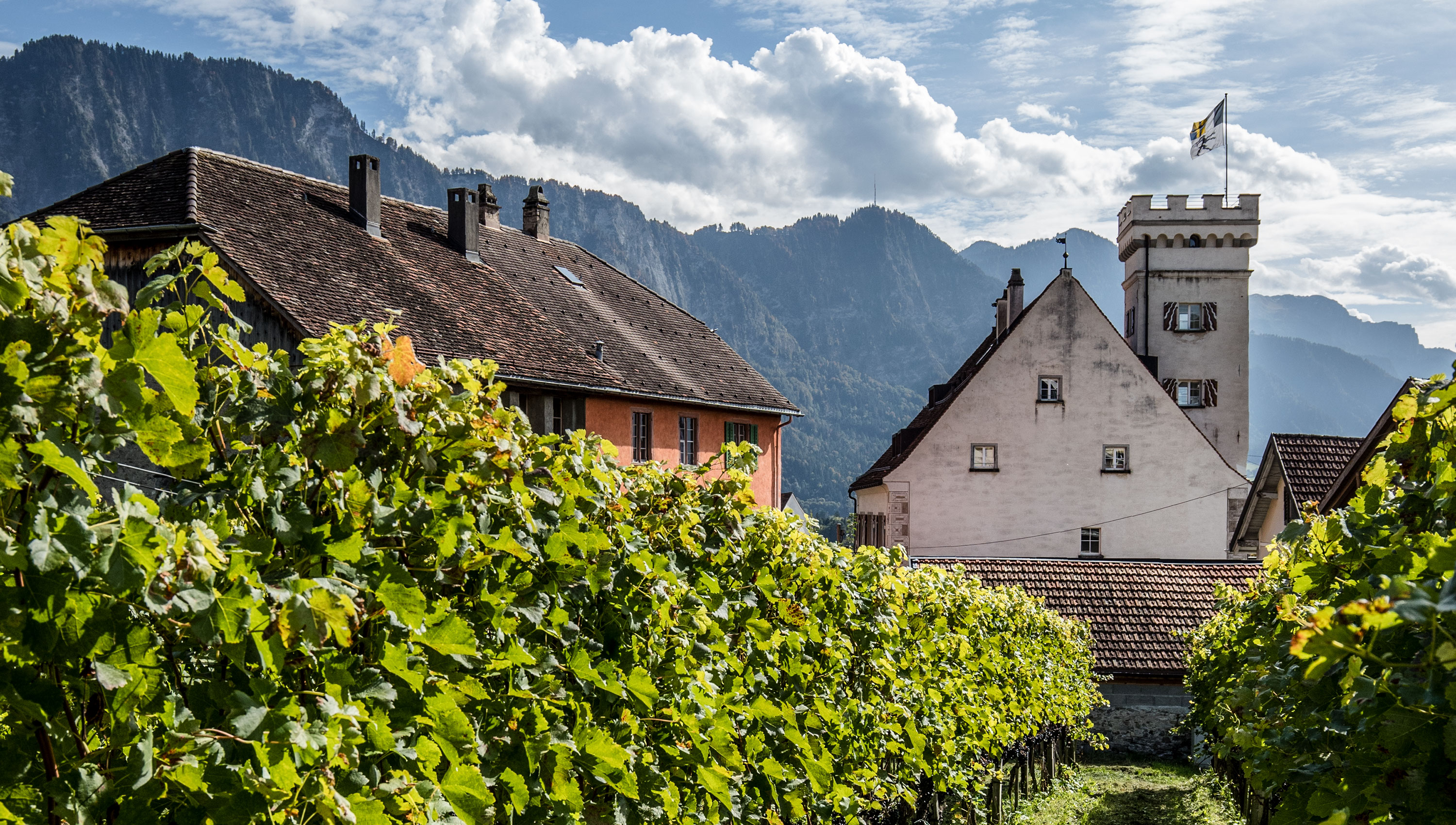 Clavadetscher Bio Weine